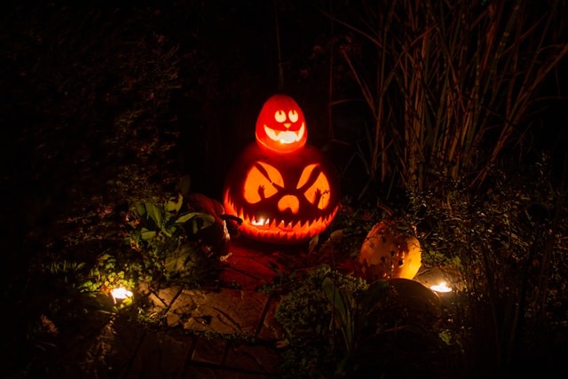 Pumkin carving at Halloween in Belgium