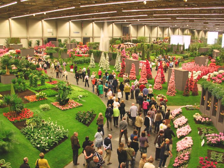 Floraliën in Ghent